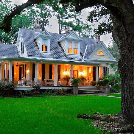 Clermont Bluffs Bed & Breakfast 나체스 외부 사진